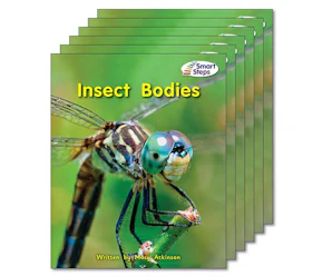 Insect Bodies (Informational Text, NF) 6-Pack